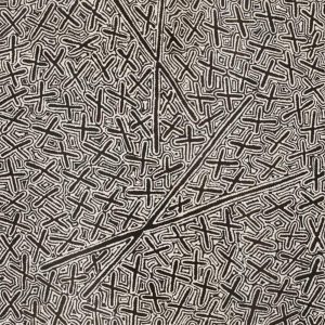Ngatijirri Jukurrpa (Budgerigar Dreaming) by Kenneth Jungarrayi Martin