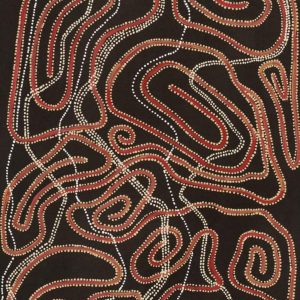 Yarla Jukurrpa (Bush Potato Dreaming) - Yumurrpa by Stephanie Napurrurla Nelson