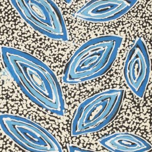 Ngapa Jukurrpa (Water Dreaming)  - Mikanji by Juliette Nampijinpa Brown