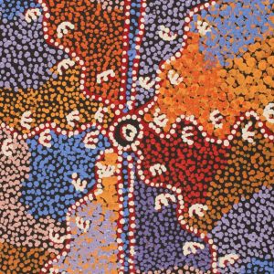 Wardapi Jukurrpa (Goanna Dreaming) - Yarripilangu by Ruth Nungarrayi Spencer