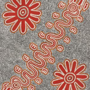 Janganpa Jukurrpa (Brush-tail Possum Dreaming)-  Mawurrji by Ritasha Nampijinpa Martin