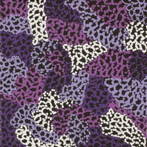 Ngapa Jukurrpa (Water Dreaming)  -  Puyurru by Warlukurlangu Artists