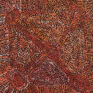 Ngapa Jukurrpa (Water Dreaming)  -  Puyurru by Sarah Napurrurla Leo