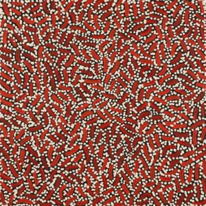 Warlukurlangu Jukurrpa (Fire country Dreaming) by Nathania Nangala Granites