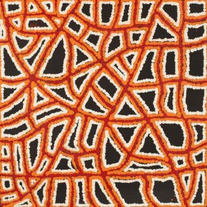 Ngapa Jukurrpa (Water Dreaming)  -  Puyurru by Delores Nangala Robertson
