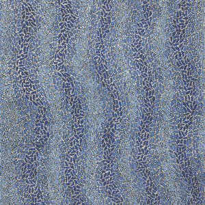 Warlukurlangu Jukurrpa (Fire country Dreaming) by Nathania Nangala Granites