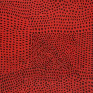 Ngurlu Jukurrpa (Native Seed Dreaming) by Maisie Napurrurla Wayne