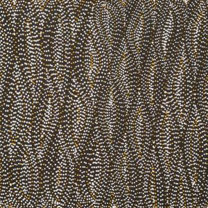 Watiya-warnu Jukurrpa (Seed Dreaming) by Marshall Jangala Robertson