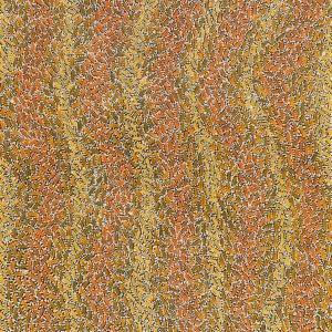 Warlukurlangu Jukurrpa (Fire country Dreaming) by Nathania Nangala Granites