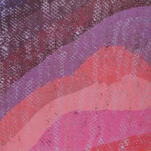Yankirri Jukurrpa (Emu Dreaming) - Ngarlikirlangu by Lloyd Jampijinpa Brown