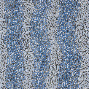 Warlukurlangu Jukurrpa (Fire country Dreaming) by Nathania Nangala Granites