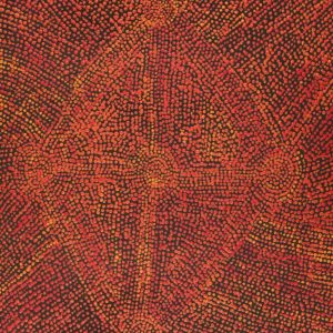 Ngapa Jukurrpa (Water Dreaming)  -  Puyurru by Sarah Napurrurla Leo