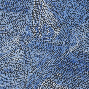 Ngapa Jukurrpa (Water Dreaming)  -  Puyurru by Sarah Napurrurla Leo