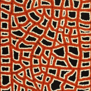 Ngapa Jukurrpa (Water Dreaming)  -  Pirlinyarnu by Delores Nangala Robertson