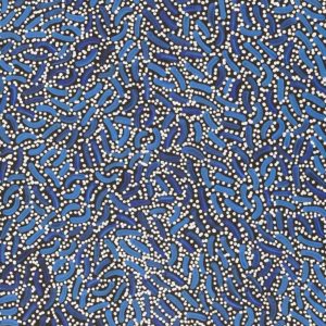 Warlukurlangu Jukurrpa (Fire country Dreaming) by Nathania Nangala Granites