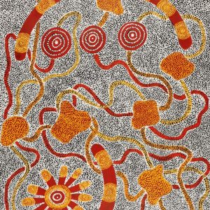 Janganpa Jukurrpa (Brush-tail Possum Dreaming)-  Mawurrji by Ritasha Nampijinpa Martin