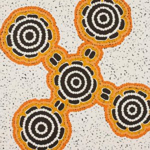 Pamapardu Jukurrpa (Flying Ant Dreaming)  - Warntungurru by Kara Napangardi Ross