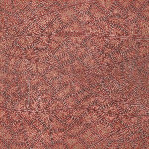 Warlukurlangu Jukurrpa (Fire country Dreaming) by Nathania Nangala Granites