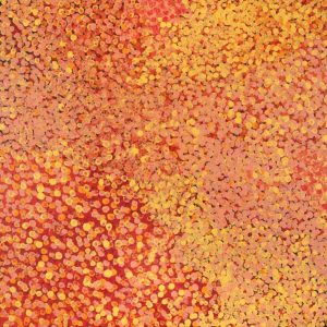Wardapi Jukurrpa (Goanna Dreaming) - Yarripilangu by Ruth Nungarrayi Spencer