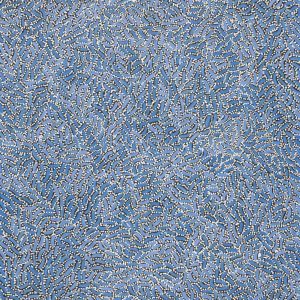 Warlukurlangu Jukurrpa (Fire country Dreaming) by Nathania Nangala Granites
