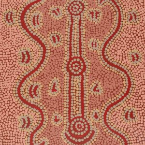 Puturlu Jukurrpa (Mt Theo Dreaming) by Ryan Japangardi Woods