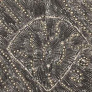 Lukarrara Jukurrpa (Desert Fringe-rush Seed Dreaming) by Hilda Nakamarra Rogers