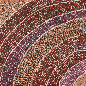 Ngapa Jukurrpa (Water Dreaming)  - Mikanji by Andrea Napanangka Tasman