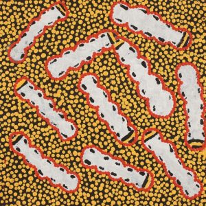 Ngarlkirdi Jukurrpa (Witchetty Grub Dreaming) by Renae Nakamarra Stevenson