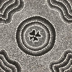 Lappi Lappi Jukurrpa (Lappi Lappi Dreaming) by Valda Napangardi George