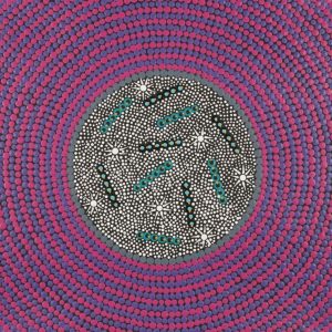 Wanakiji Jukurrpa (Bush Tomato Dreaming) by Jezebel Napanangka Presley