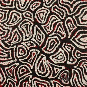 Ngapa Jukurrpa (Water Dreaming)  - Mikanji by Juliette Nampijinpa Brown
