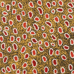 Ngapa Jukurrpa (Water Dreaming)  -  Puyurru by Delores Nangala Robertson