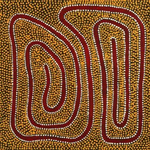 Janganpa Jukurrpa (Brush-tail Possum Dreaming)-  Mawurrji by Stephanie Napurrurla Nelson