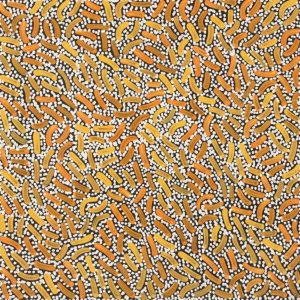 Warlukurlangu Jukurrpa (Fire country Dreaming) by Nathania Nangala Granites