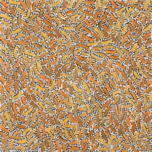 Warlukurlangu Jukurrpa (Fire country Dreaming) by Nathania Nangala Granites