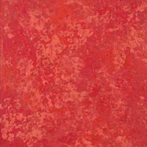 Wardapi Jukurrpa (Goanna Dreaming) - Yarripilangu by Ruth Nungarrayi Spencer