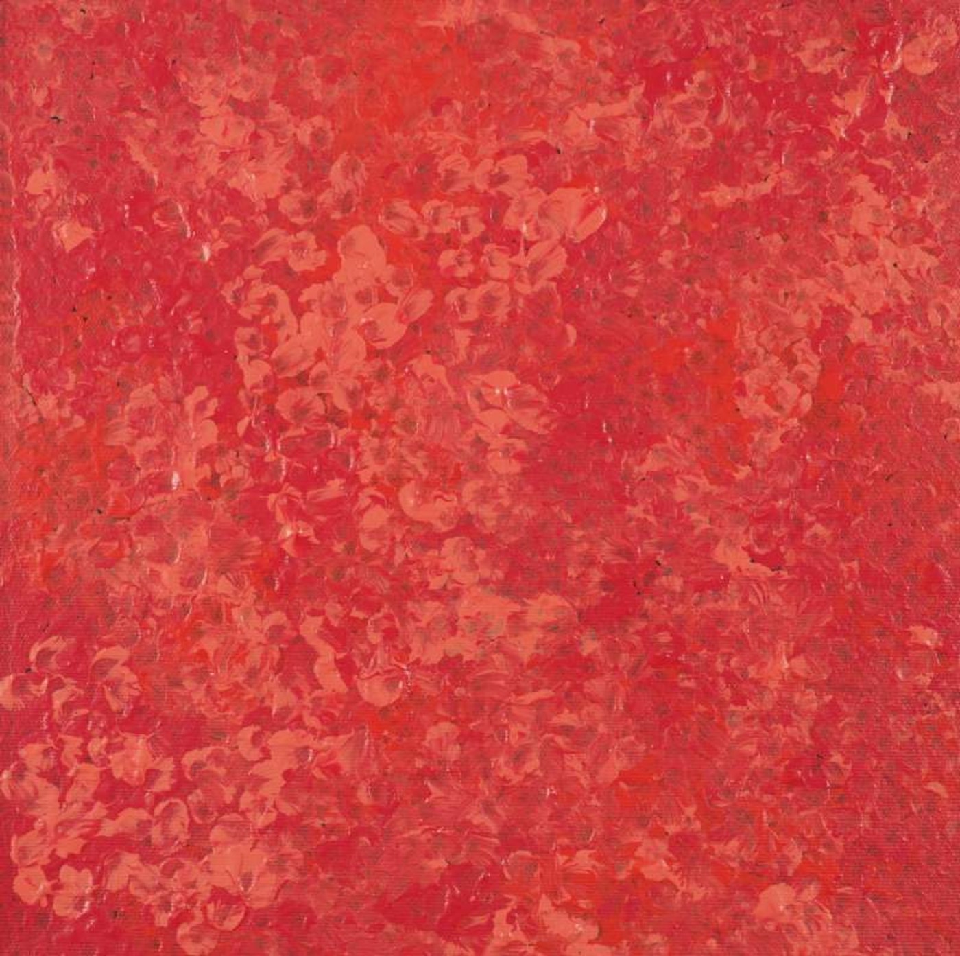 Wardapi Jukurrpa (Goanna Dreaming) - Yarripilangu by Ruth Nungarrayi Spencer