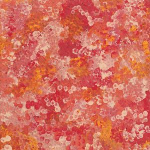 Wardapi Jukurrpa (Goanna Dreaming) - Yarripilangu by Ruth Nungarrayi Spencer