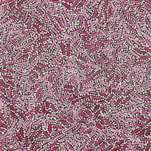 Warlukurlangu Jukurrpa (Fire country Dreaming) by Nathania Nangala Granites