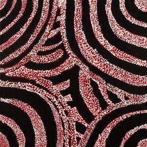 Wardapi Jukurrpa (Goanna Dreaming) - Yarripilangu by Norissa Nampijinpa Spencer