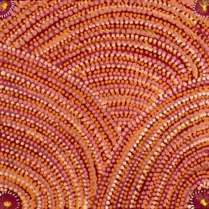 Pikilyi Jukurrpa (Vaughan Springs Dreaming) by Grace Napangardi Butcher