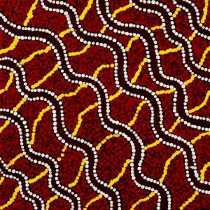 Warna Jukurrpa (Snake Dreaming) by Danilda Nakamarra White