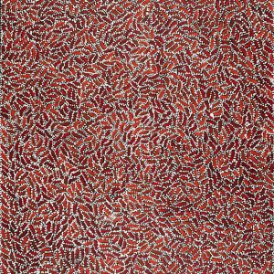 Warlukurlangu Jukurrpa (Fire country Dreaming) by Nathania Nangala Granites