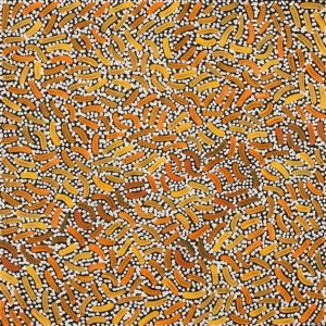 Warlukurlangu Jukurrpa (Fire country Dreaming) by Nathania Nangala Granites