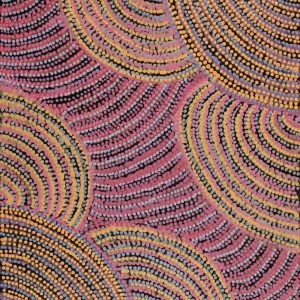 Pikilyi Jukurrpa (Vaughan Springs Dreaming) by Grace Napangardi Butcher