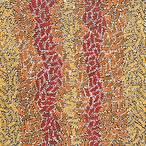 Warlukurlangu Jukurrpa (Fire country Dreaming) by Nathania Nangala Granites