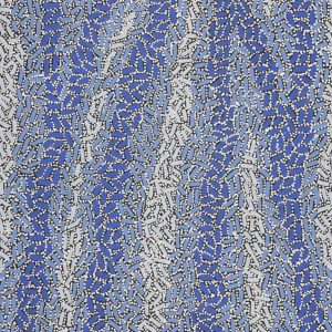 Warlukurlangu Jukurrpa (Fire country Dreaming) by Nathania Nangala Granites