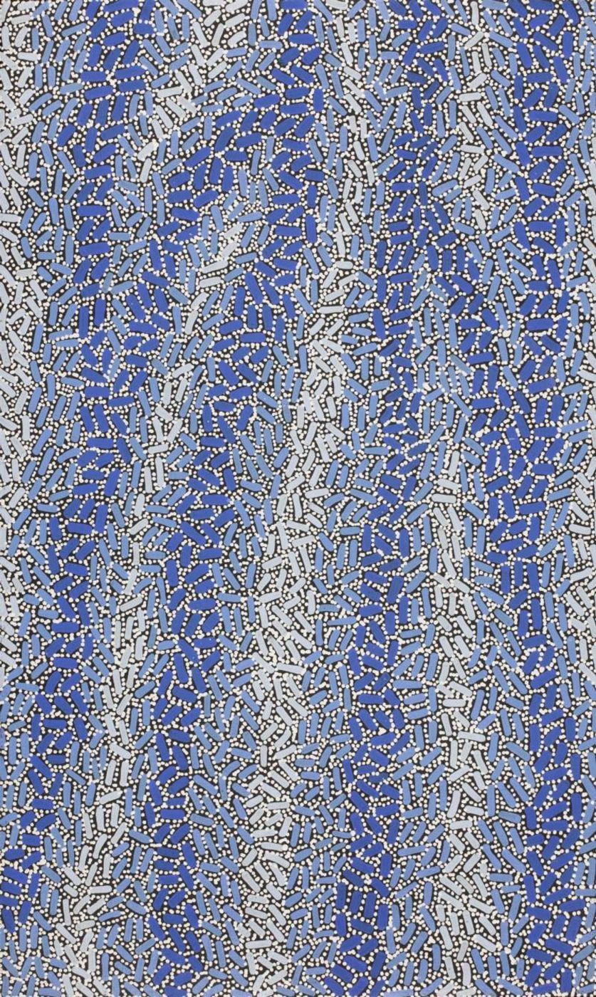 Warlukurlangu Jukurrpa (Fire country Dreaming) by Nathania Nangala Granites