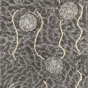 Ngapa Jukurrpa (Water Dreaming)  -  Pirlinyarnu by Ursula Nampijinpa Collins