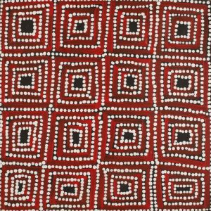 Nguru Yurntumu-wana (Country around Yuendumu) by Madeleine Nungarrayi White
